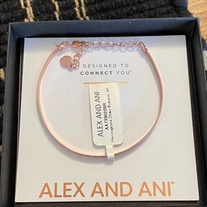 Alex and Ani Rose Gold Bracelet with Adjustable Chain